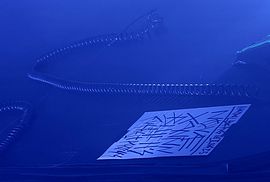 IMG_20250616_214933
